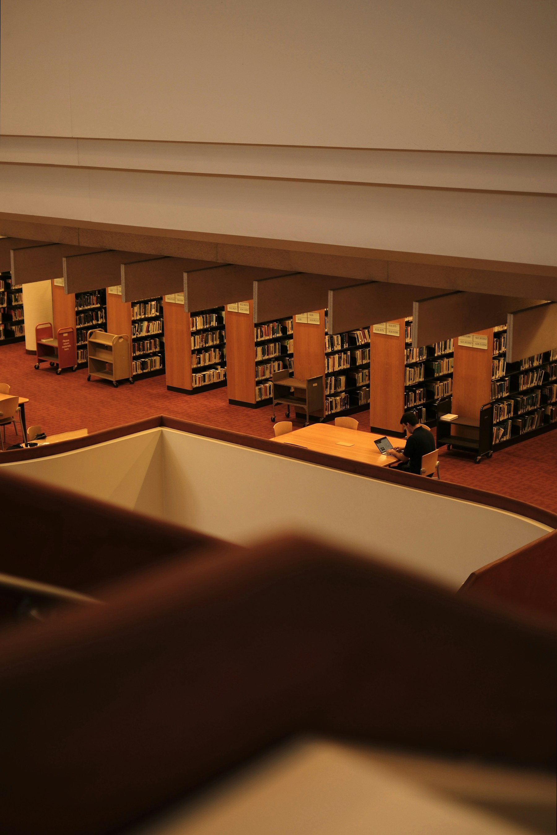 Bibliothèque publique au Canada, lieu de recherche d’information